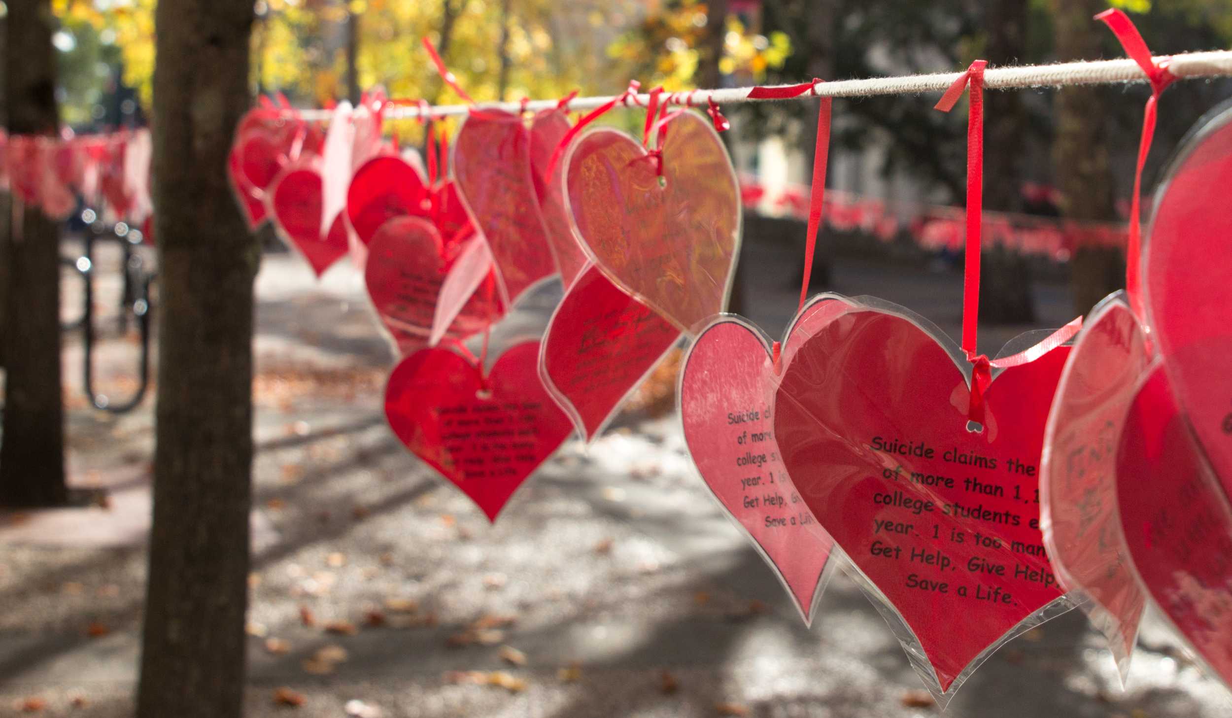 STAR // Brandon StachnikLast semester, Sonoma State University honored mental health awareness week by hanging hearts in the Salazar Quad with facts relating to mental health. This semester, Associated Students is advocating for increased funding fo…