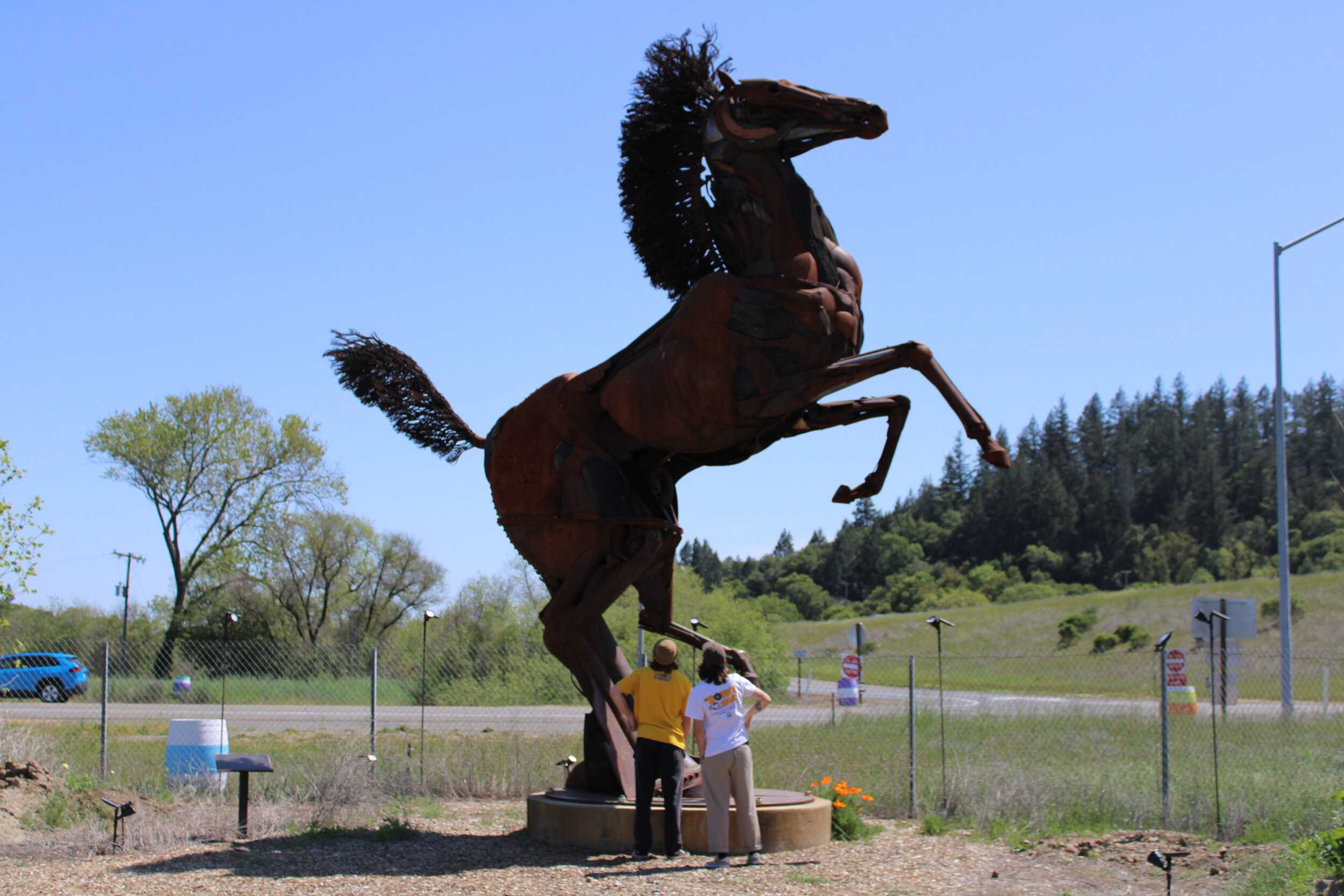 Sculpture Trail Horse Pic - STAR.jpg