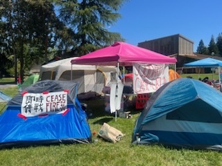 Students for Justice in Palestine set up protest encampment at Sonoma State