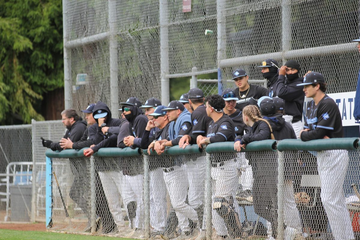 The team eagerly waits in the dugout while they face Cal State LA. 
Courtesy | Sonoma State Athletics