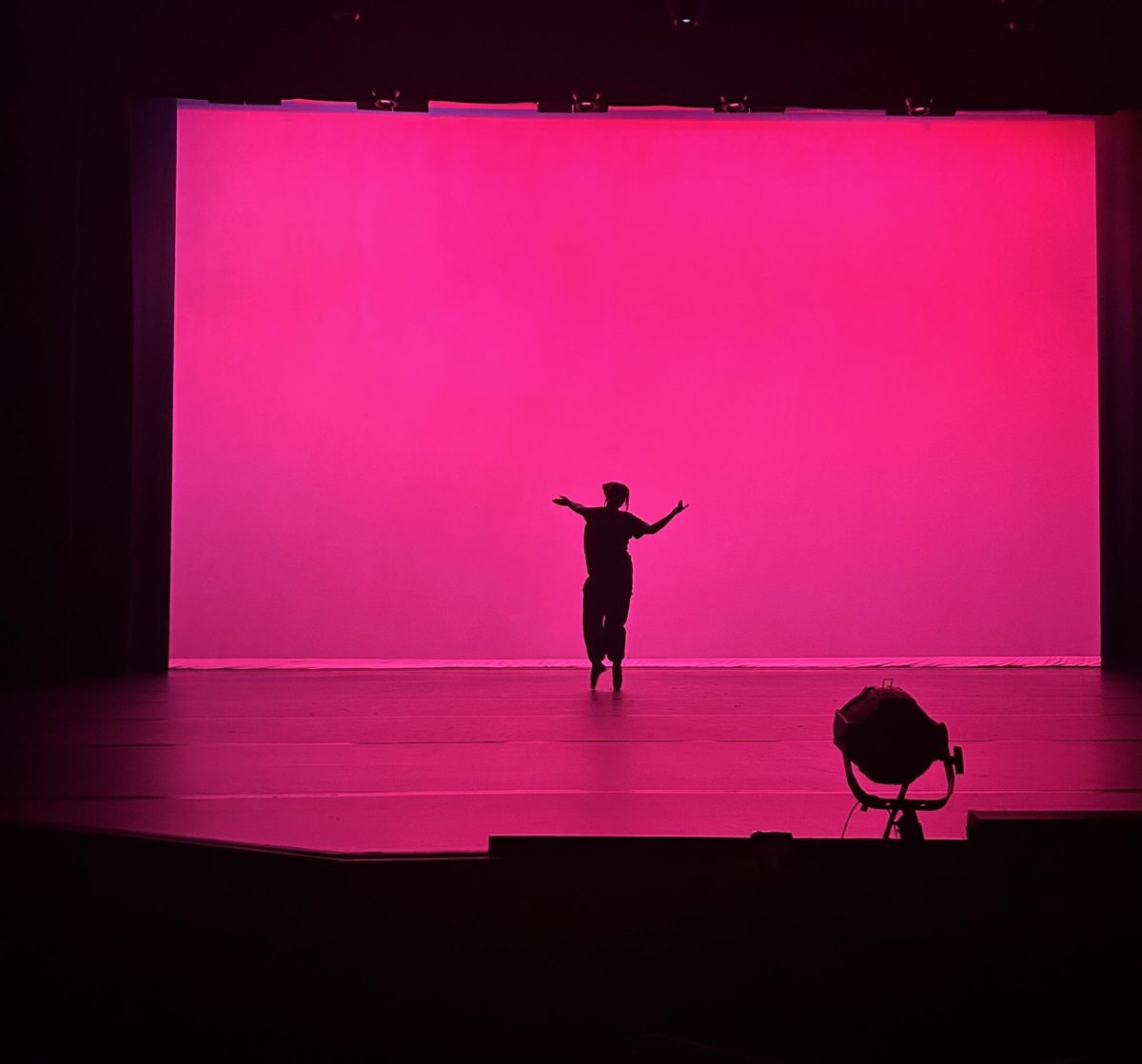 A dancer in motion at SSU’s Spring Dance