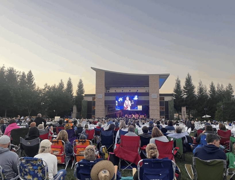 Audience members watch The Beach Boys' opening number