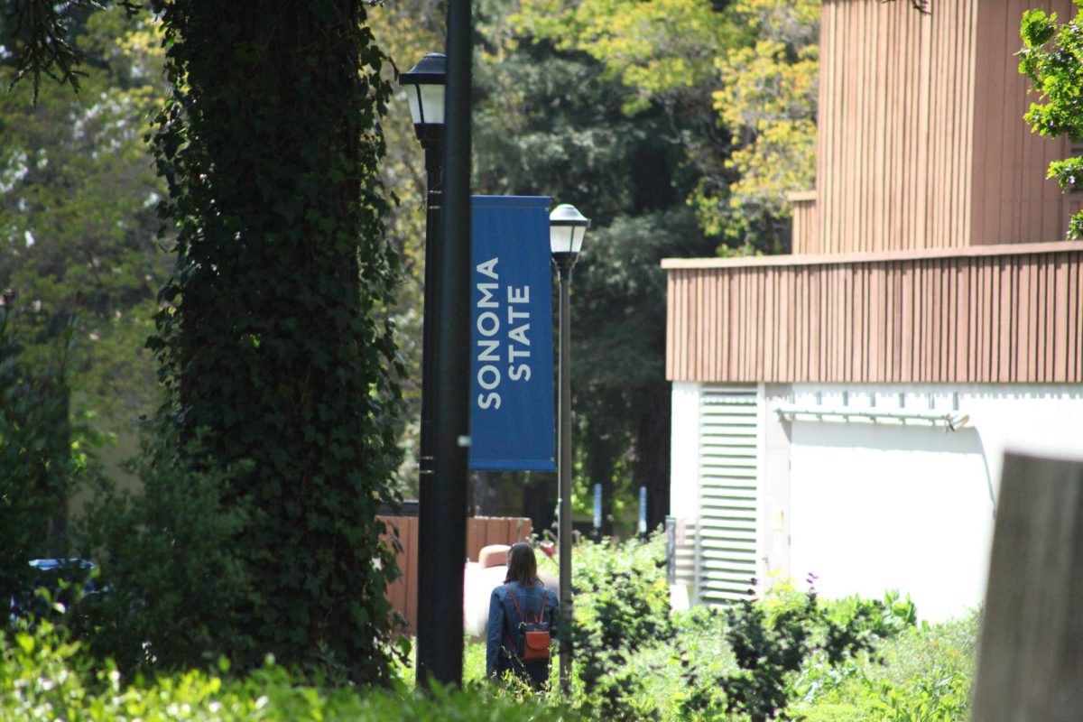 Sonoma State Students walk under campus banner. 