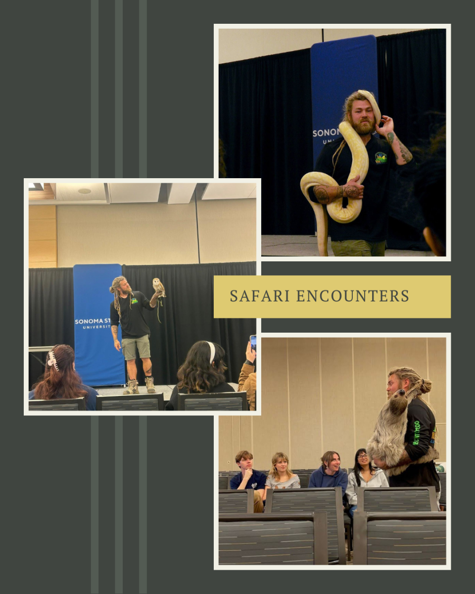 Students meet wild animals during safari encounters event