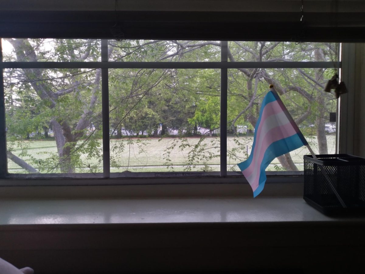The view from my dorm overlooking the Sauvignon Courtyard here at SSU where I keep a lonely transgender pride flag. Photo by Rylan Valdepena.
