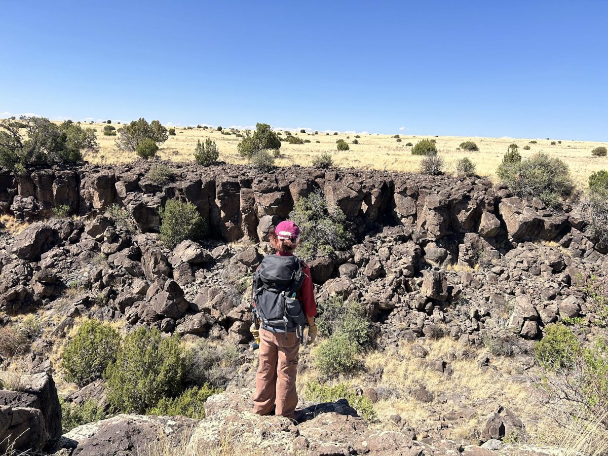 Sonoma State Undergraduate Student doing fieldwork in the Coyote Hills, Arizona